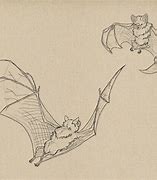 Image result for Drawing Pose Reference Bat