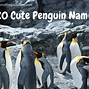Image result for Good Penguin Names