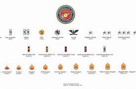 Image result for Marine Corps Rank Insignia