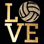 Image result for Volleyball Banner Image HD