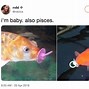 Image result for I'm Just a Baby Meme