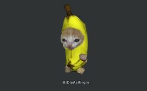 Image result for Banana Cat Running