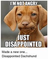 Image result for Disappointed Funny