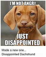 Image result for Work Disappointed Meme