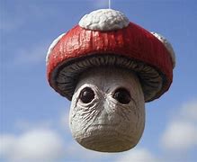 Image result for Mario Brothers Mushroom