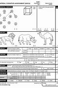 Image result for Printable Florida Physical Exam Form