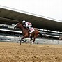Image result for Belmont Stakes Finish Line