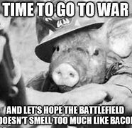 Image result for Pig War Meme