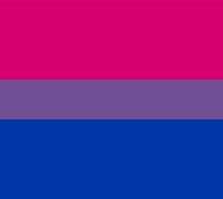 Image result for bisexuao