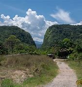 Image result for Caqueta Colombia