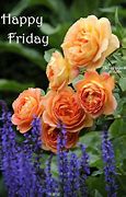 Image result for Happy Friday Eve Pics