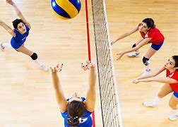 Image result for Volleyball