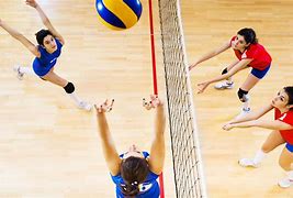 Image result for Volleyball Images
