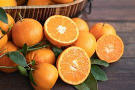 Image result for oranges