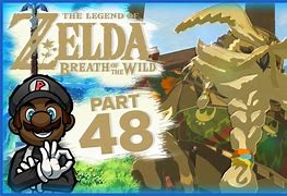 Image result for Legend of Zelda Breath of the Wild Bird People