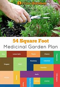 Image result for 20 Square Foot