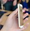 Image result for iPhone SE Compared to a Hand