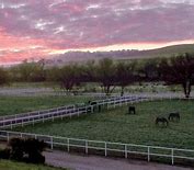 Image result for Ranch Outdoor Background