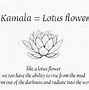 Image result for lotus flowers meanings