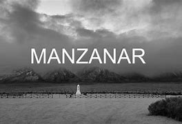 Image result for amanzanar
