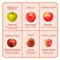 Image result for Apple Varieties and Uses Chart