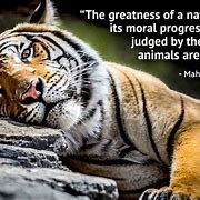 Image result for Animal Quotes Inspirational