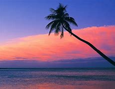 Image result for Lonely Beach Wallpaper