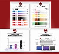 Image result for Gracie Barra Jiu Jitsu Belt System