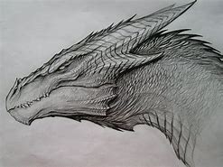Image result for Dragon Head Drawing