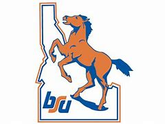 Image result for Boise State Logo Jersey Black