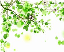 Image result for Wi-Fi Cup Green Wallpaper
