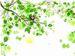 Image result for Black and Green PNG