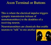 Image result for Axon Hub Reset Button