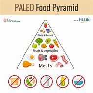 Image result for Paleo Diet Example