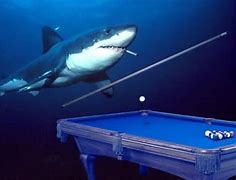 Image result for Shark Playing Pool
