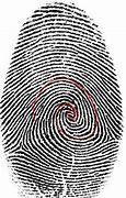 Image result for Gods Fingerprint