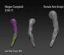 Image result for Female Arm Sculpt