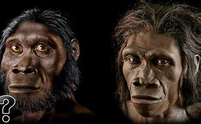 Image result for Ape People