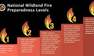 Image result for Wildland Fire Size Up