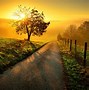 Image result for Nature Photo Ideas