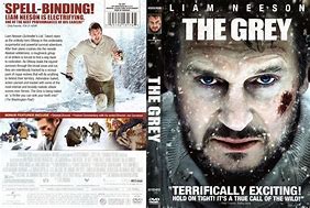 Image result for DVD Cover Grey