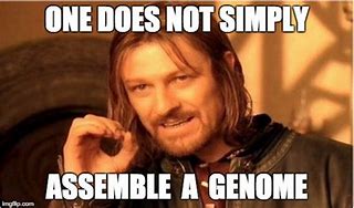 Image result for Meme About Getting DNA