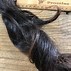 Image result for Coq-Tail