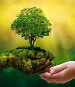 Image result for Conserving Natural Resources