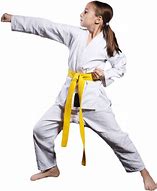 Image result for Kids Martial Arts PNG