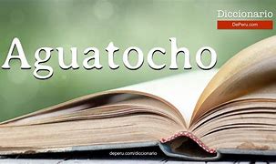 Image result for aguatocho