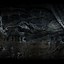 Image result for Skyrim Dual Monitor Backgrounds