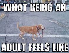 Image result for Funny Short Quotes About Adulting