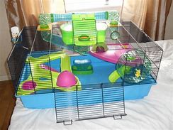 Image result for Pink Hamster Cage
