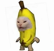 Image result for Renaissance Art Cat Banana Meme